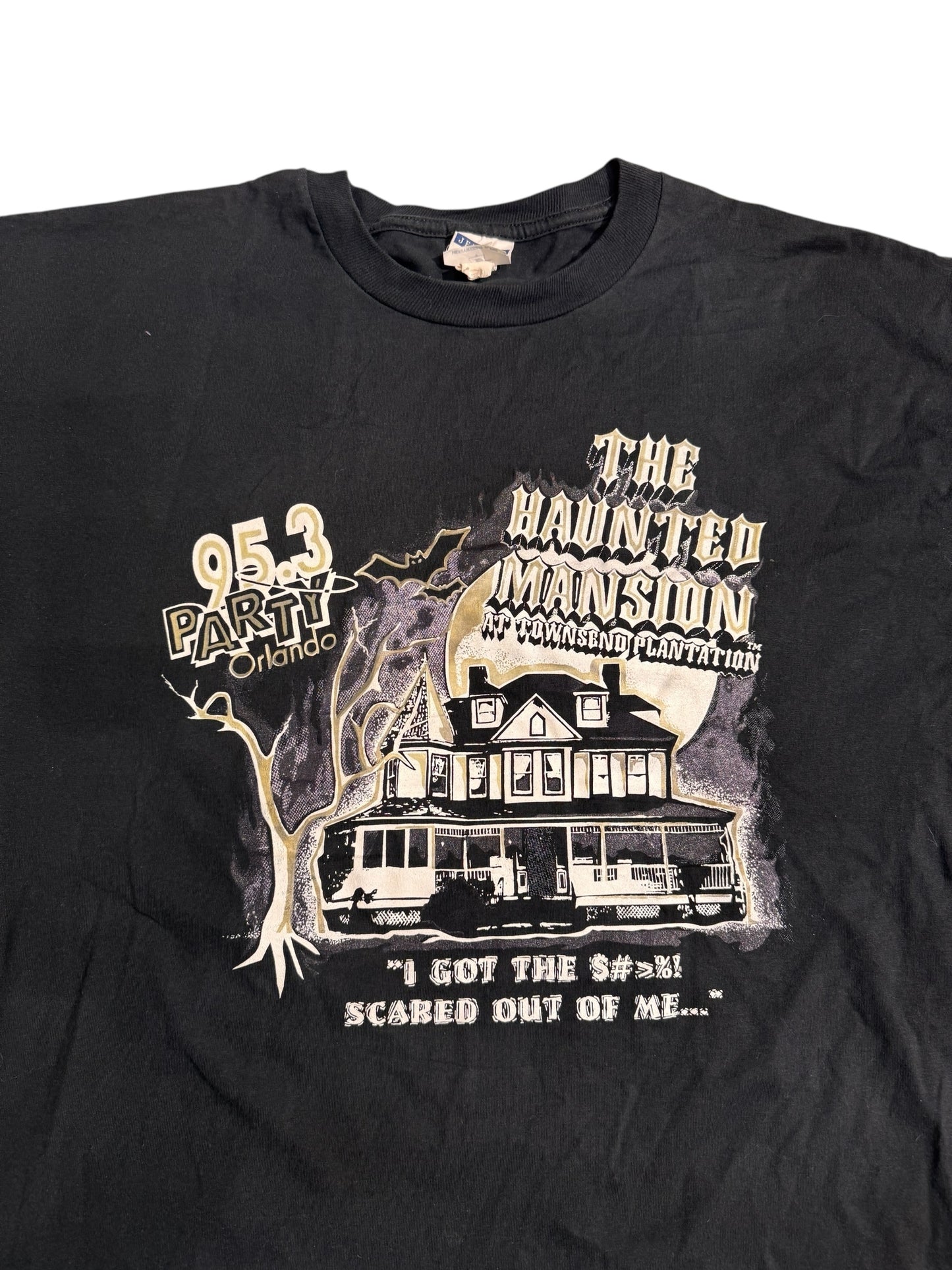 Jerzees Orlando party 95.3 graphic tee