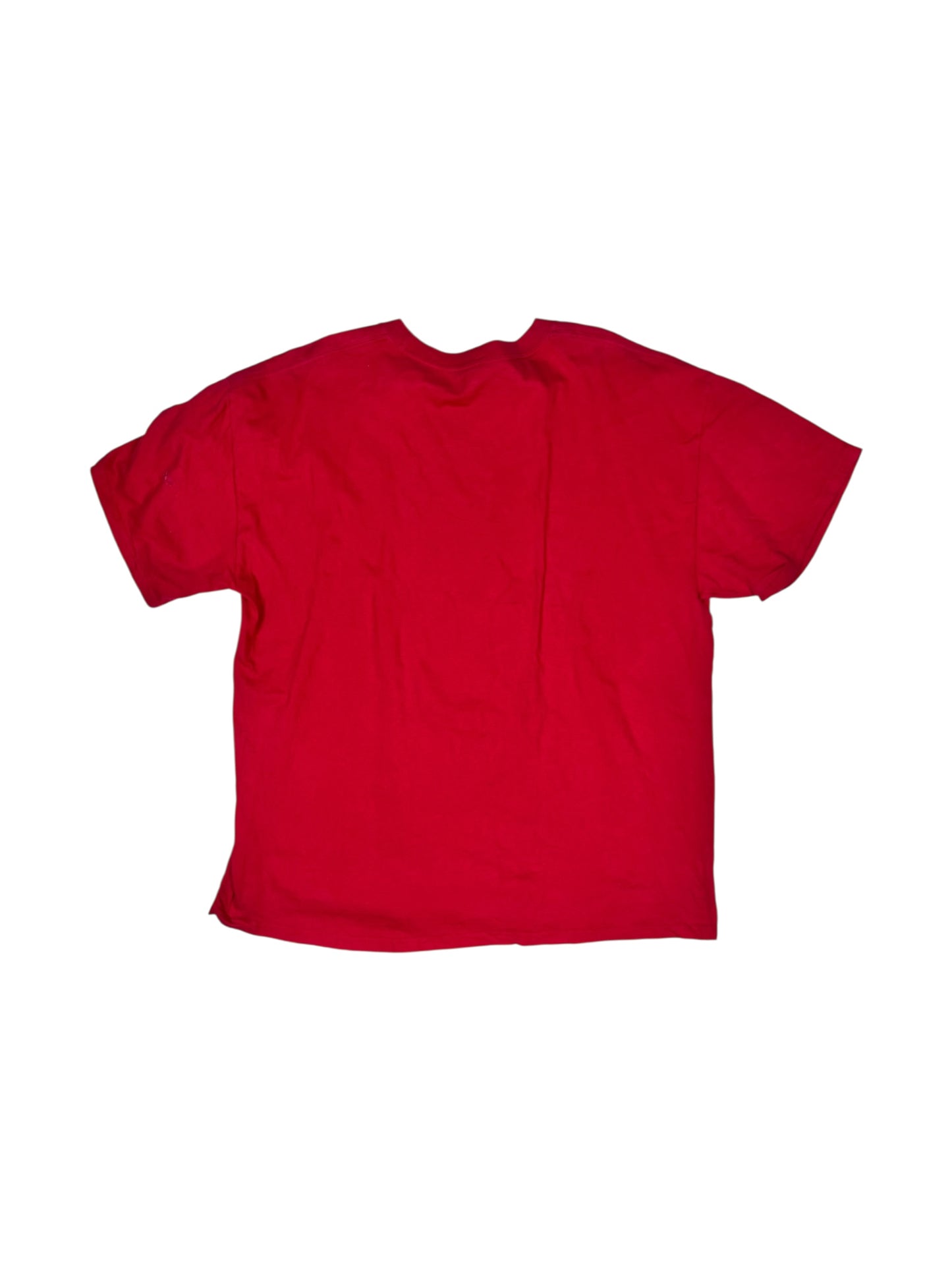 Disneyland 2010 graphic tee